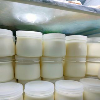 Hũ sữa chua nhựa HDPE 100ml - 1000 hũ