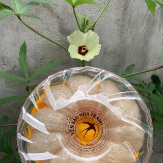 TINH CHẾ RÚT LÔNG NƯỚC-100Gram