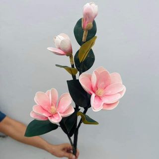 CÀNH HOA MỘC LAN CAO m3