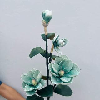 CÀNH HOA MỘC LAN CAO m3