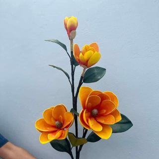 CÀNH HOA MỘC LAN CAO m3