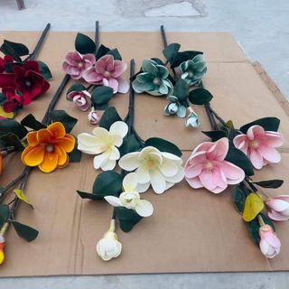 CÀNH HOA MỘC LAN CAO m3