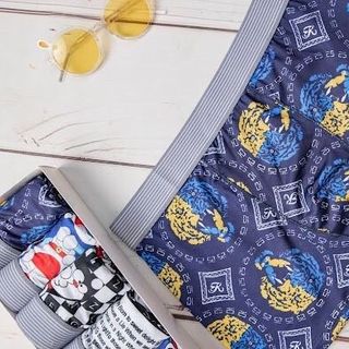 Quần sịp nam đùi - tam giác chất thun lạnh đầy đủ các mẫu _ Giá tốt nhất
