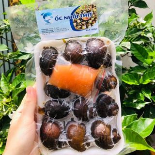 NGUỒN SỈ ỐC NHỒI THỊT TẠI SÀI GÒN