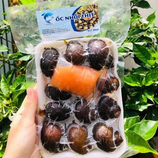 NGUỒN SỈ ỐC NHỒI THỊT TẠI SÀI GÒN