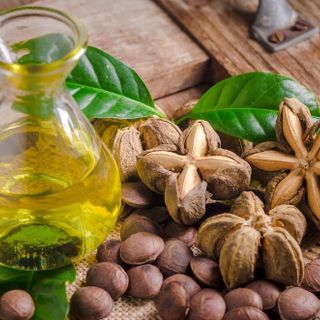 Dầu Sachi - Dầu ăn dinh dưỡng dành cho người ăn chay