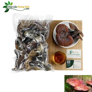 [Kèm toa] Nấm lim xanh rừng Tiên Phước - Hỗ trợ Ung Thư, tiểu đường, tăng cường sức khỏe- Dược liệu Phương Thảo