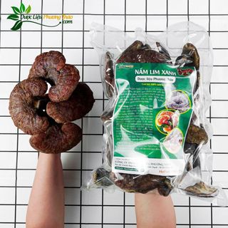 [Kèm toa] Nấm lim xanh rừng Tiên Phước - Hỗ trợ Ung Thư, tiểu đường, tăng cường sức khỏe- Dược liệu Phương Thảo
