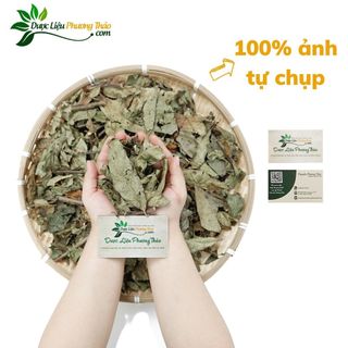 [Kèm toa] Cây Xạ Đen Hòa Bình - Ngăn Ngừa Ung Thư, Ngủ Ngon, Gan Nhiễm Mỡ- Dược liệu Phương Thảo