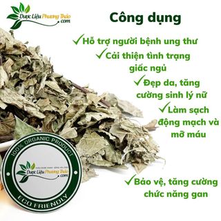 [Kèm toa] Cây Xạ Đen Hòa Bình - Ngăn Ngừa Ung Thư, Ngủ Ngon, Gan Nhiễm Mỡ- Dược liệu Phương Thảo