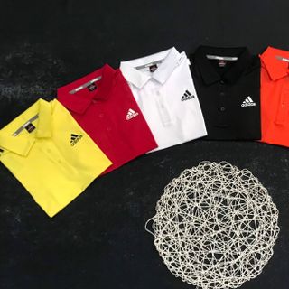 Áo polo nữ thể thao bao xịn