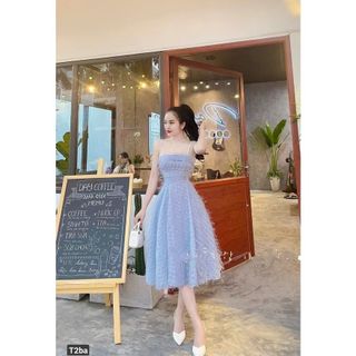 Đầm nữ xoè 2 dây lông vũ