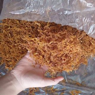 Măng điền trúc