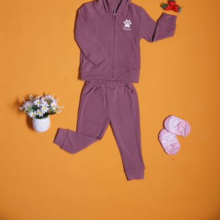 [CHÍNH HÃNG] Bộ đồ trẻ em unisex Toonooz chất liệu nhung tăm có mũ kéo khóa BD50-UN1301 size 09 tháng-3 tuổi
