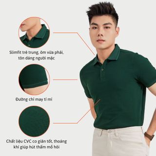 COMBO ÁO POLO NAM MÀU VE CHAI SỈ SỐ LƯỢNG LỚN
