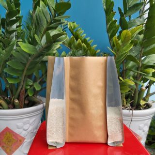 TÚI GIẤY KRAFT ĐẶT IN ẤN THEO YÊU CẦU