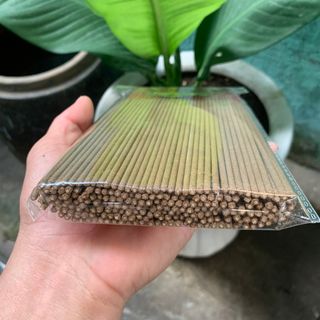 NHANG TRẦM THẢO MỘC ÍT KHÓI 230 CÂY - XUẤT KHẨU THÁI LAN