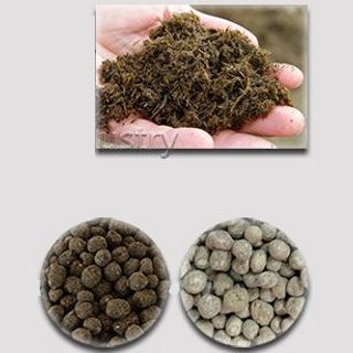 Phân thỏ hữu cơ hoai mục 3DG