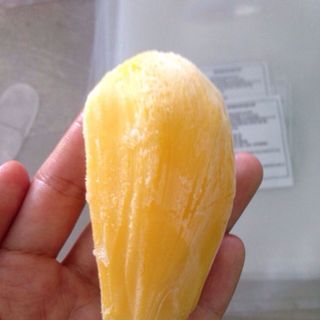 CUNG CẤP MÍT ĐÔNG LẠNH - GIÁ RẺ TRÊN THỊ TRƯỜNG