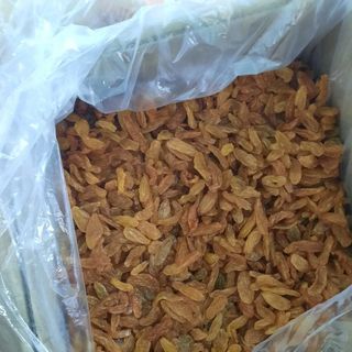 Nho khô vàng ấn độ gói 1kg