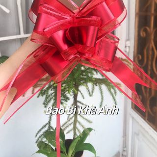 Nơ Rút ánh kim cực đẹp, cánh lớn 5 phân, nhiều màu, sắc - Gói Quà ,Gấu Bông, quà tặng, Hộp Quà Bao Bì Khả Anh