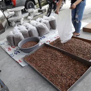 Đặc sản Ban Mê - Hạt Kơ Nia rang mộc