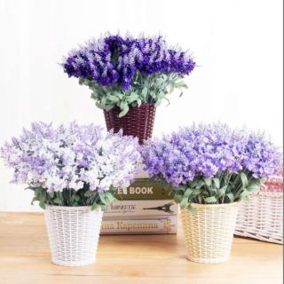 Set 5 Cành Hoa Lavender ( mỗi cành 10 nhánh) giá sỉ