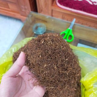 Thuốc lào Nga Sơn
