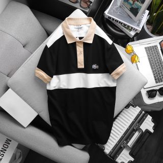Áo thun cổ bẻ nam cao cấp, áo thun có cổ nam, Chất cá sấu co giản 4 chiều chính phẩm dày dặn mịn mát mặc thấm hút mồ hôi tốt, logo thêu, nút khắc chữ vs tiệp màu vải size từ 55kg - 95kg