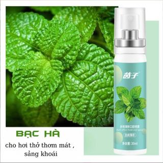 Xịt Thơm Miệng Chính Hãng Xịt Giảm Hôi Miệng Giúp Ngăn Ngừa Vi Khuẩn Khoang Miệng Lưu Hương Thơm Mát Dài Lâu