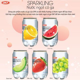 [HN][SHIP HOẢ TỐC] Nước ngọt có ga sparkling OKF vị dâu lon 350ml giá sỉ