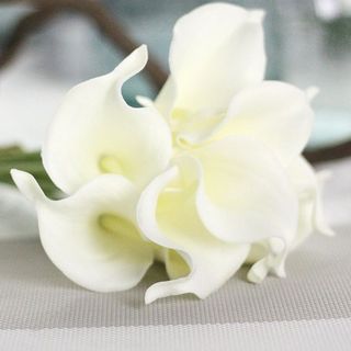 Bó 5 Cây Hoa Rum/ Calla LilY