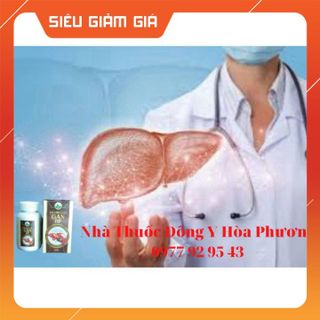 Bổ Gan HP Đông Y Hòa Phương , Giúp thanh nhiệt, mát gan, giải độc gan