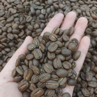 Cà Phê Arabica Cầu Đất
