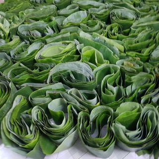 LÁ CHUỐI TƯƠI GIÁ SỈ 10.000Đ/KG