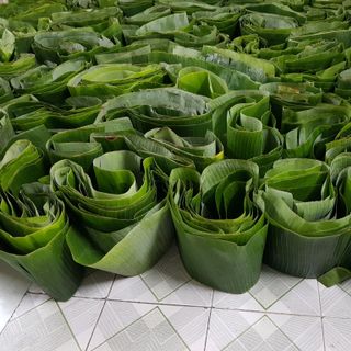 LÁ CHUỐI TƯƠI GIÁ SỈ 10.000Đ/KG
