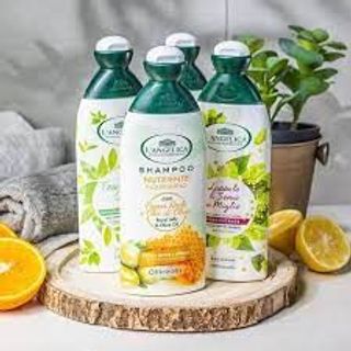 Dầu Gội Từ Tinh Chất Hạt Kê Dành Cho Mọi Loại Tóc L'angelica Shampoo Fortyfing for All Types of Hair 250ml