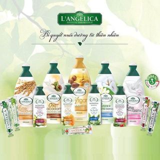 Dầu Gội Từ Tinh Chất Hạt Kê Dành Cho Mọi Loại Tóc L'angelica Shampoo Fortyfing for All Types of Hair 250ml