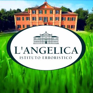L'Angelica Officinalis - Shower Gel - Emollient with Argan Oil 250ml