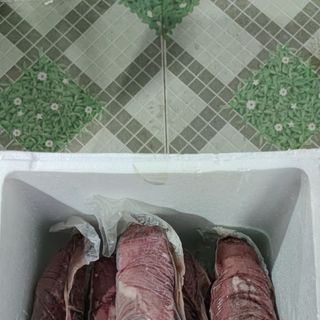 Thăn nội bò úc _Tenderloin
