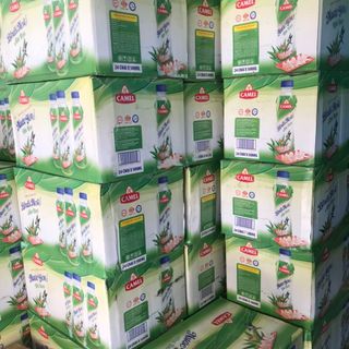 LỐC 6 CHAI NƯỚC YẾN NHA ĐAM CAMEL 500ml
