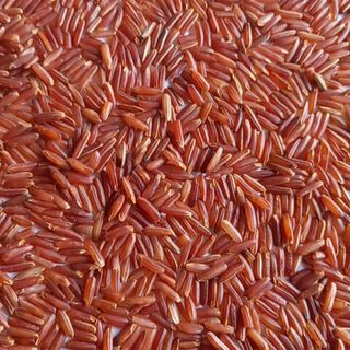 Gạo lứt đỏ huyết rồng sản khô 100 tấn tại Hà Nội -