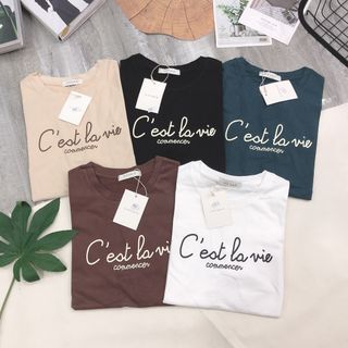Áo thun from vừa A STUDIO quảng châu chất xịn nhiều mẫu