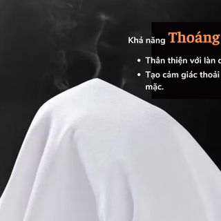 Áo nỉ dài tay trơn Nam cao cấp. Hàng Xuất Khẩu Giá Việt Nam