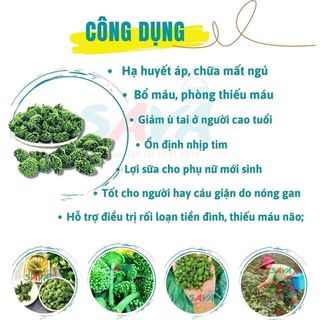 Nụ hoa tam thất