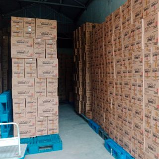 Bánh Chocolat Lotte 12 gói/1hộp