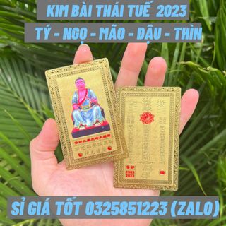 Kim Bài Thái Tuế 2023 Hóa Giải Phạm Thái Tuế Để Ốp Lưng Điện Thoại Túi Sách, Ví, Phong Thủy May Mắn giá sỉ