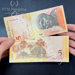 Combo 100 Tờ Tiền Venezuela Hình Con Trút Mệnh Giá 5 CINCO Lì Xì Tết Thả Ga, Lì Xì Tết Độc Lạ