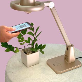 Đèn học thông minh The Smart Light