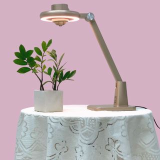 Đèn học thông minh The Smart Light
